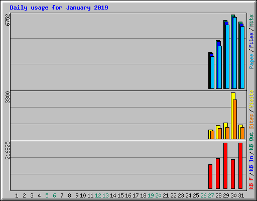 Daily usage for January 2019