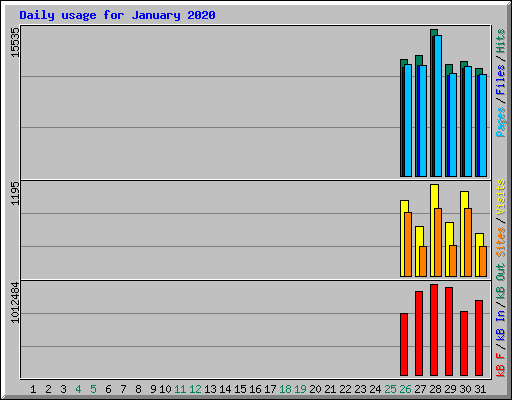 Daily usage for January 2020