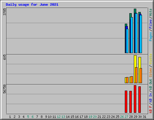 Daily usage for June 2021