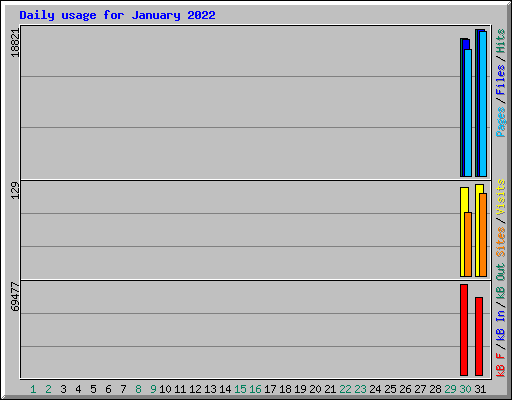 Daily usage for January 2022