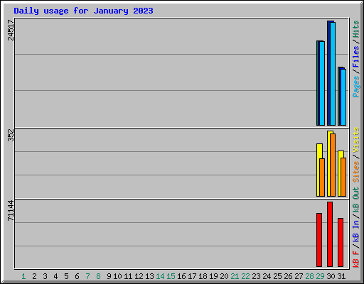 Daily usage for January 2023