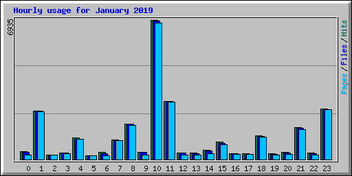 Hourly usage for January 2019