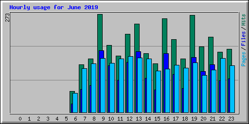 Hourly usage for June 2019