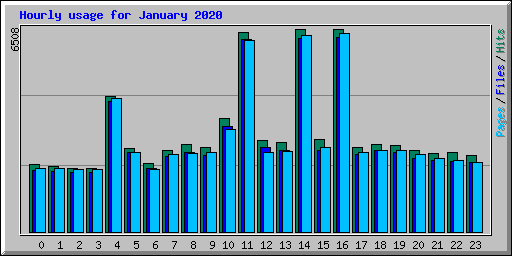 Hourly usage for January 2020