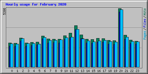 Hourly usage for February 2020