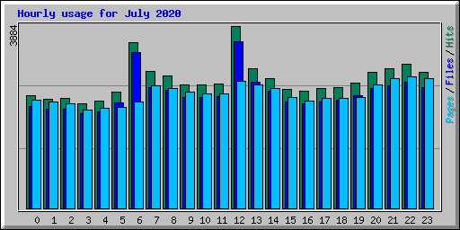 Hourly usage for July 2020