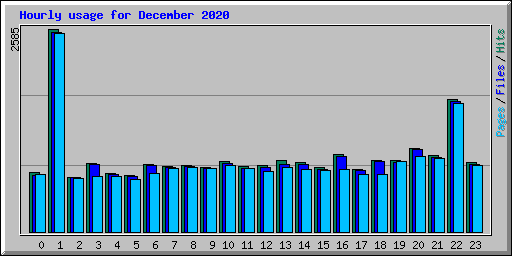 Hourly usage for December 2020