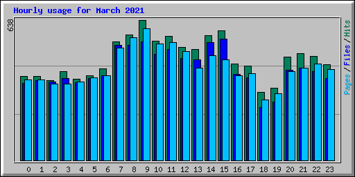 Hourly usage for March 2021