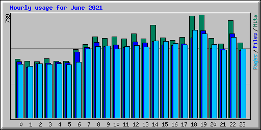 Hourly usage for June 2021