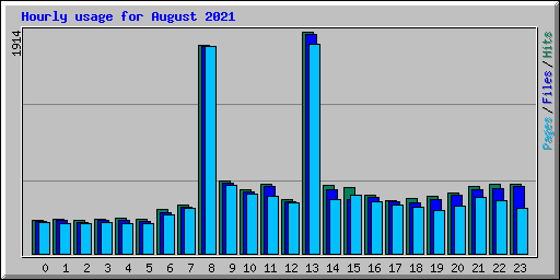 Hourly usage for August 2021