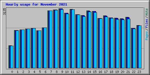 Hourly usage for November 2021