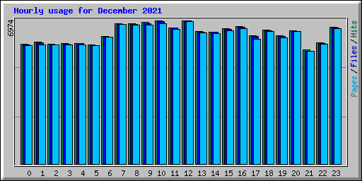 Hourly usage for December 2021