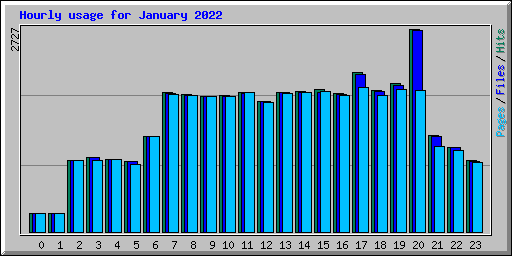 Hourly usage for January 2022