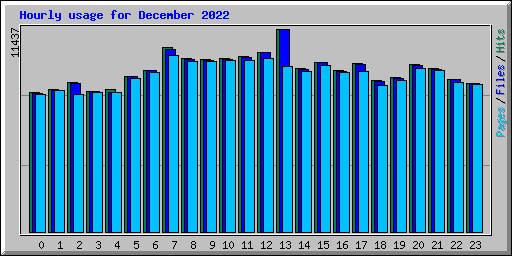 Hourly usage for December 2022