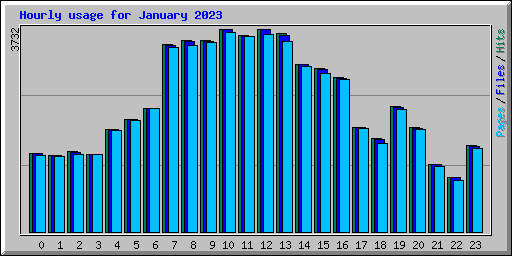 Hourly usage for January 2023